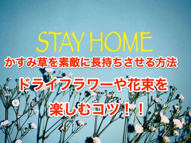 かすみ草を素敵に長持ちさせる方法 ドライフラワーや花束などを楽しむコツ紹介します ちしきのもり かすみ草を素敵に長持ちさせる方法 ドライフラワーや花束などを楽しむコツ紹介します ちしきのもり