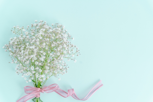 かすみ草を素敵に長持ちさせる方法 ドライフラワーや花束などを楽しむコツ紹介します ちしきのもり