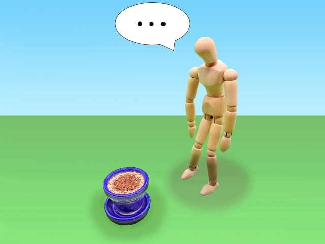 かすみ草こぼれ種で再び楽しむ 来年も楽しむ方法や口コミを紹介します ちしきのもり