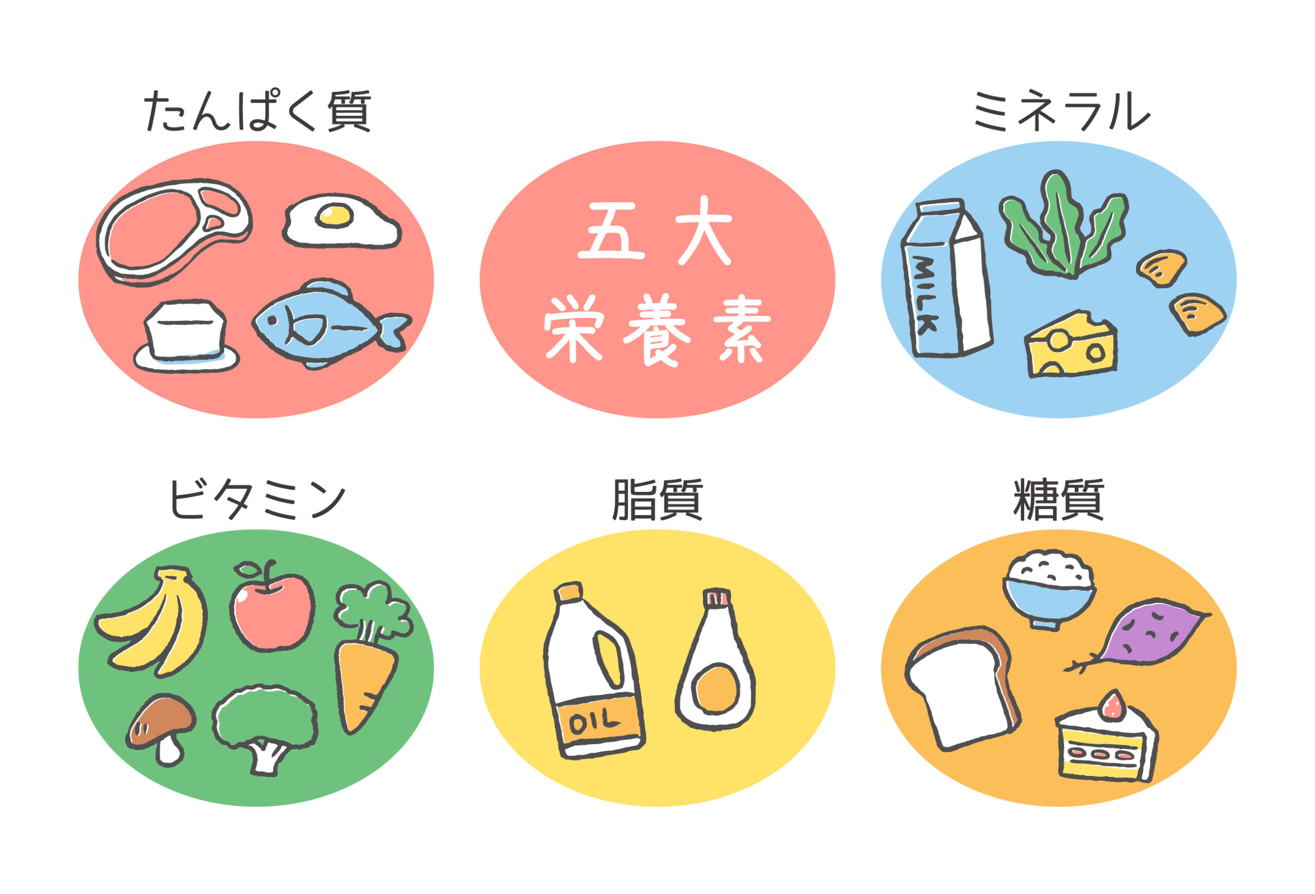 きのこを冷凍したらまずい 正しい保存方法でおいしさをキープする方法 ちしきのもり